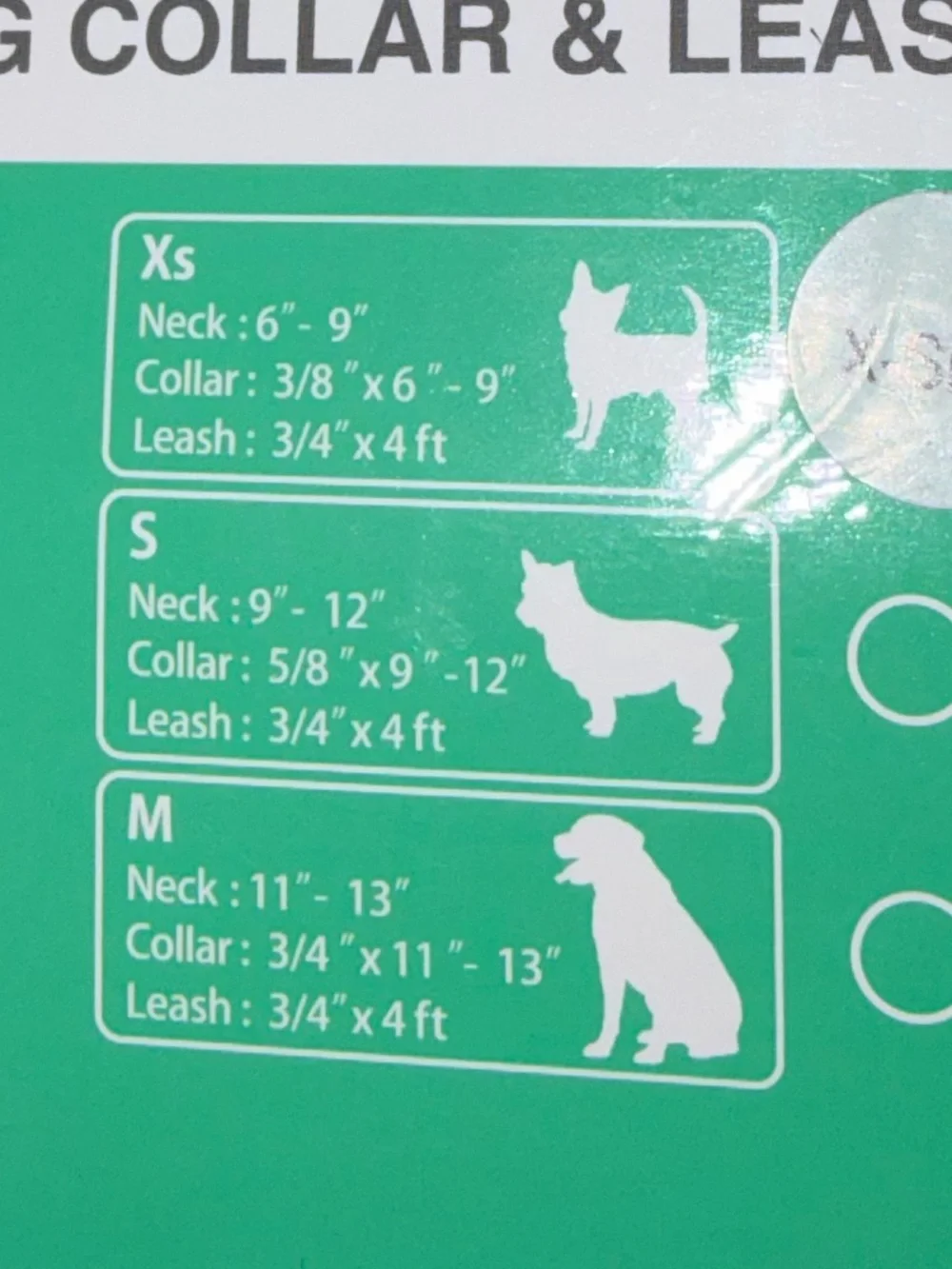 Mexican style  Dog Leash Set